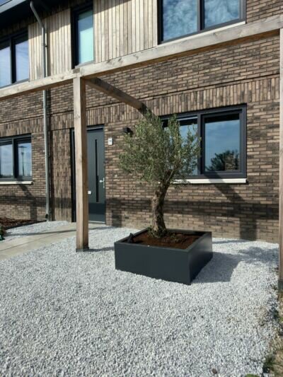 Hoogwaardige stalen plantenbakken