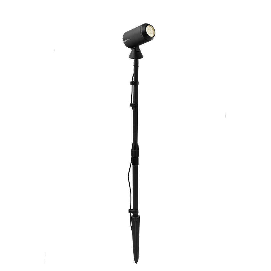 Multispike