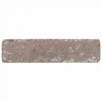 Abbeystones 20x5x7cm Certosa