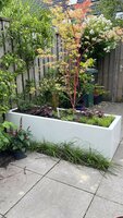 Stalen Plantenbak met bodem, 75x75x40 cm, wit (RAL 9010)