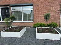 Stalen Plantenbak met bodem, 80x80x40 cm, wit (RAL 9010)