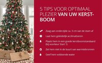 Kerstboom Abies nordmanniana gezaagd 225-250cm 