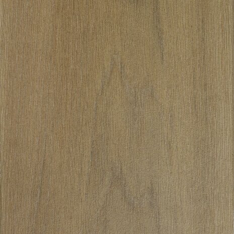 Forest 40X80X4cm Betula Brown 
