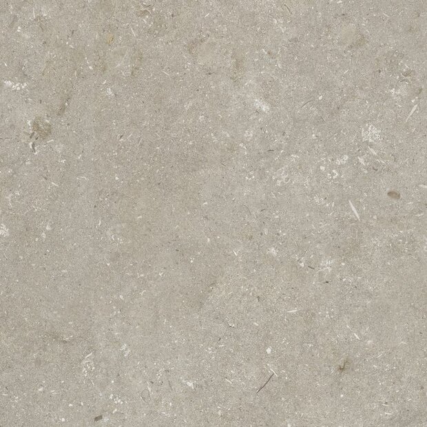 Shellstone Taupe 60x60x3cm  