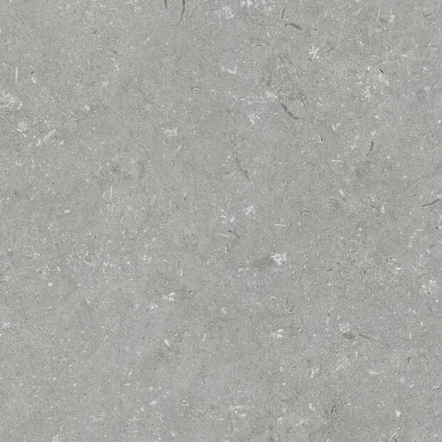 Shellstone Grigio 60x60x3cm  