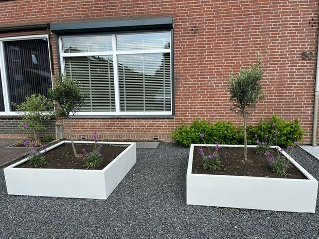 Stalen Plantenbak met bodem, 100x100x50 cm, wit (RAL 9010)