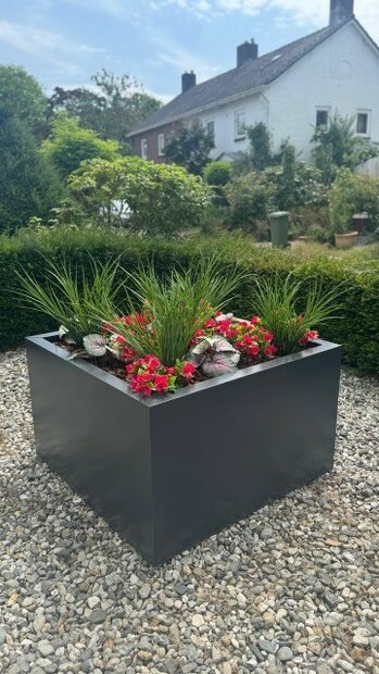 Stalen Plantenbak met bodem, 100x1000x50 cm, zwart (Ral 9005)