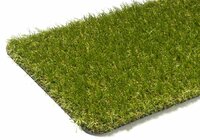 Waarom Tulp Grass? Waarom Tulp Grass?