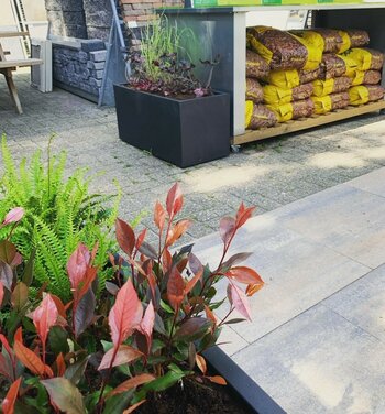 Tegelhandel in Dordrecht