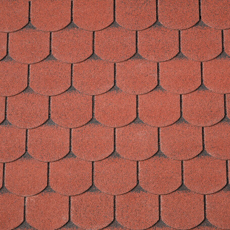 Dakshingles beverstaart rood